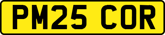 PM25COR