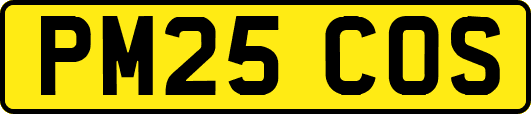 PM25COS