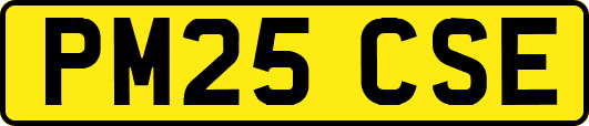 PM25CSE