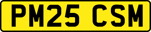 PM25CSM
