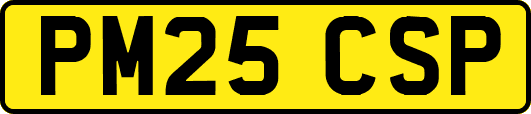 PM25CSP