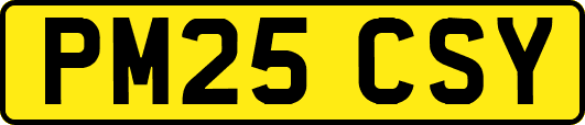 PM25CSY
