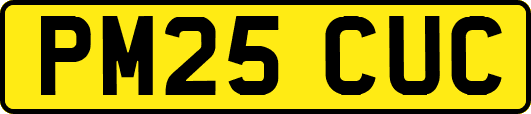 PM25CUC