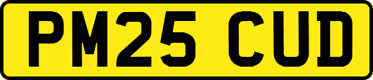 PM25CUD