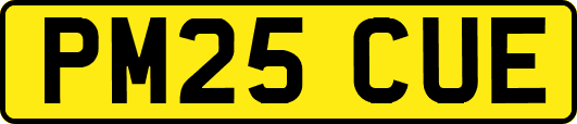 PM25CUE