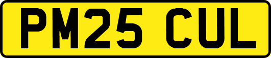 PM25CUL