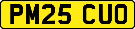 PM25CUO