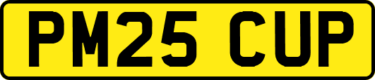 PM25CUP