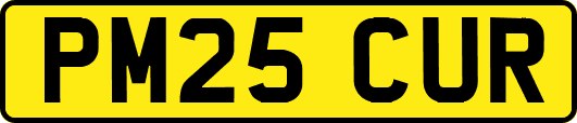 PM25CUR