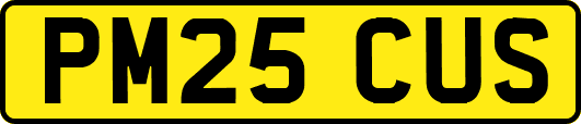 PM25CUS