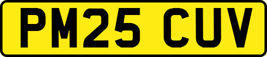 PM25CUV