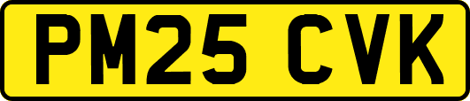 PM25CVK