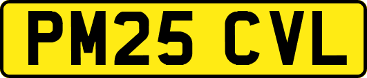 PM25CVL