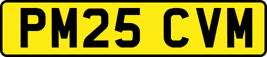 PM25CVM
