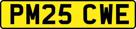 PM25CWE