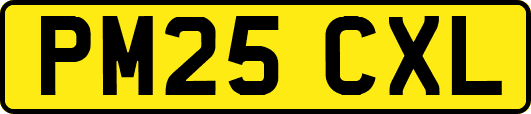 PM25CXL