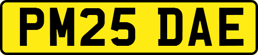 PM25DAE