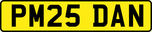 PM25DAN