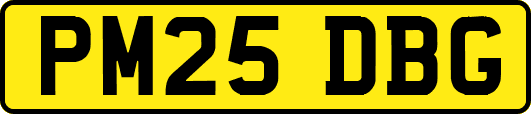 PM25DBG
