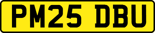 PM25DBU