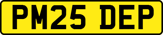 PM25DEP
