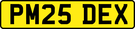 PM25DEX