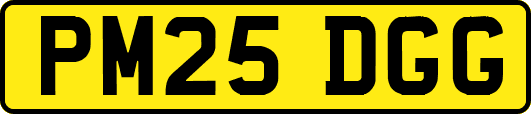 PM25DGG