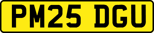PM25DGU