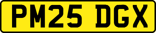 PM25DGX