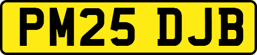 PM25DJB