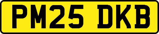PM25DKB