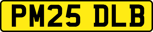 PM25DLB