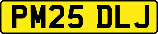 PM25DLJ