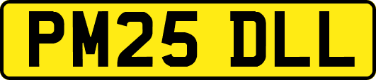 PM25DLL