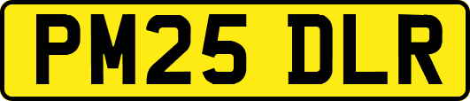 PM25DLR