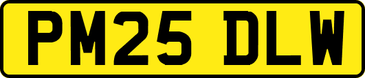 PM25DLW