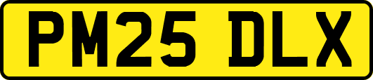 PM25DLX