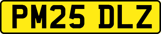 PM25DLZ