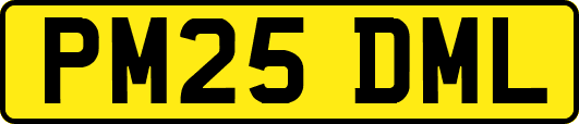 PM25DML