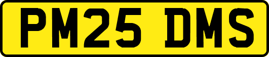 PM25DMS