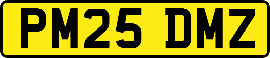PM25DMZ