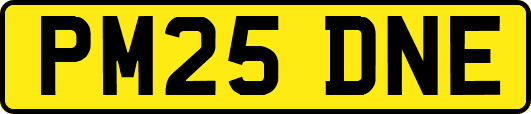 PM25DNE