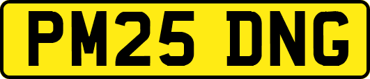 PM25DNG
