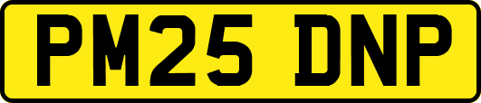 PM25DNP