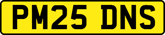 PM25DNS