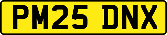 PM25DNX