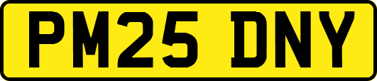 PM25DNY