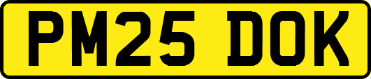 PM25DOK