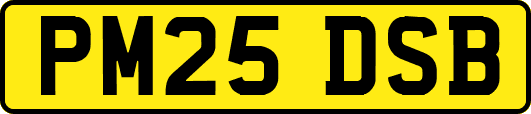 PM25DSB