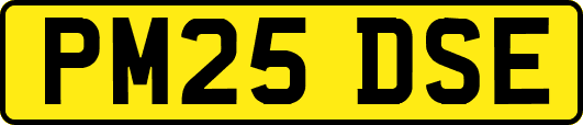 PM25DSE